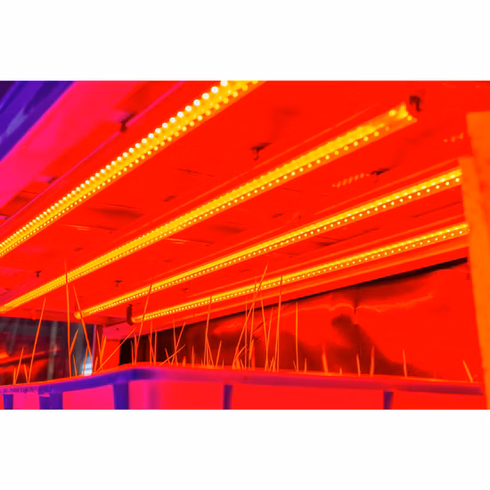 농업용 고성능 LED 성장 조명 식물 튜브 성장 램프 LED 전체