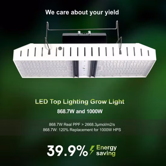 실내 원예 식물 Sunlike 고성능 밝기 조절 가능 800W 1000W LED 조명 성장